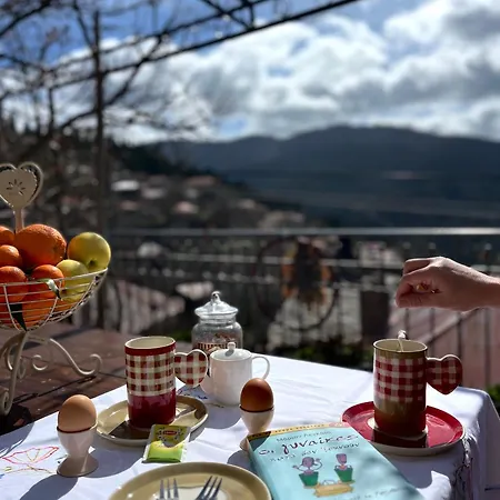 πετραμέλι *